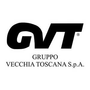 logo gvt - Global Advisory Lab
